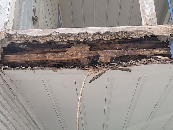 Badly Rotted Deck Support - Revealed by Destructive Investigation - 1