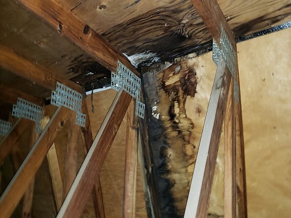 Commerical Building - Roof Leak and the Resulting Damaged Trusses - 1