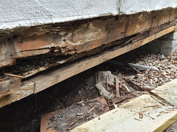 Rotted Beam - Termite and Water Intrusion