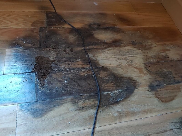 Water Damaged Floor - 2