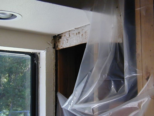 Water Intrusion - 2